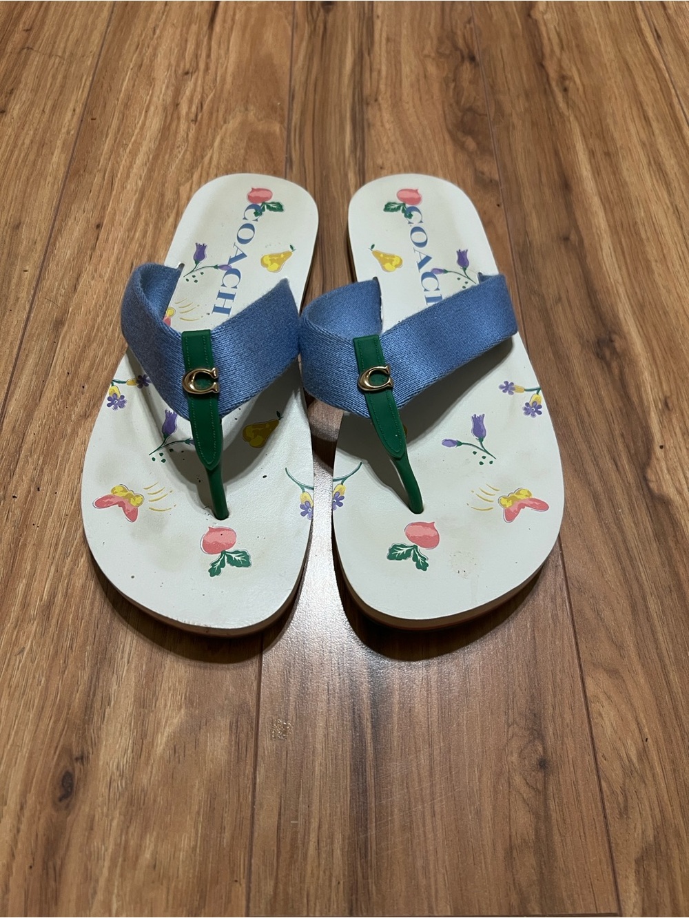 Coach Blue & Green Floral Print Thong Sandals